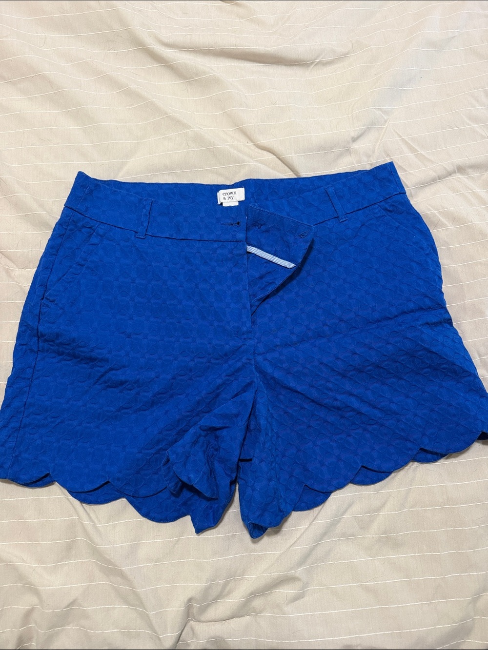 crown & ivy Royal Blue Scallop-Hem Women's Shorts